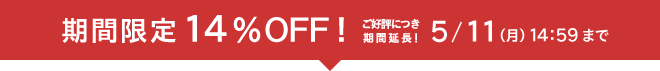 期間限定特別価格